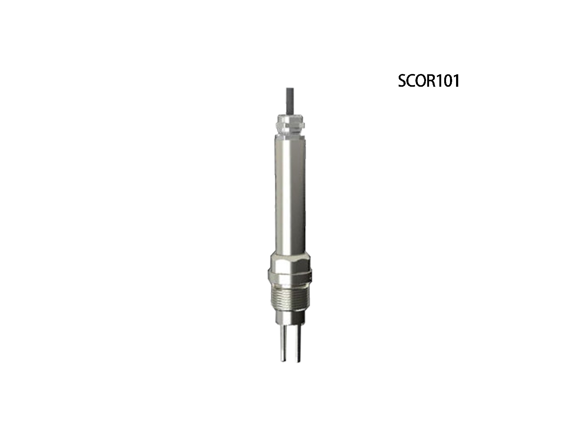 SCOR101.jpg